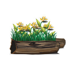 grass flower and dead wood vector.