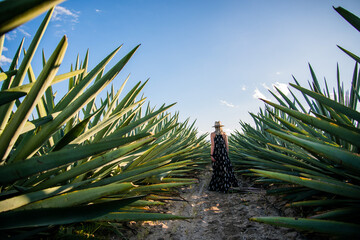 Mujer caminando en un Campo de agave espadín para destilado mezcal y tequila