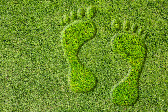 Fußspuren auf einem grünen Rasen
