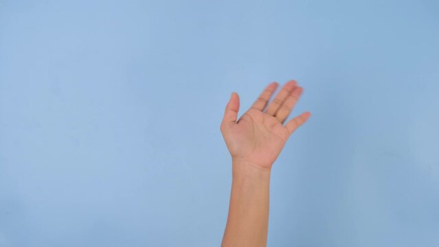 Female hand waving greeting or goodbye gesture isolated on blue studio background. Pack of Gestures movements and body language.