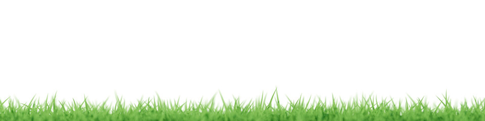 3D Burred defocus green grass field background	