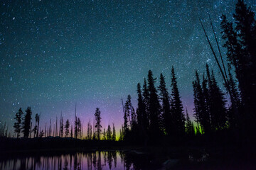 Majestic view of trees by lake against star field during night