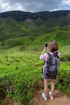 Rear view of female hiker photographing tea crops with smart phone