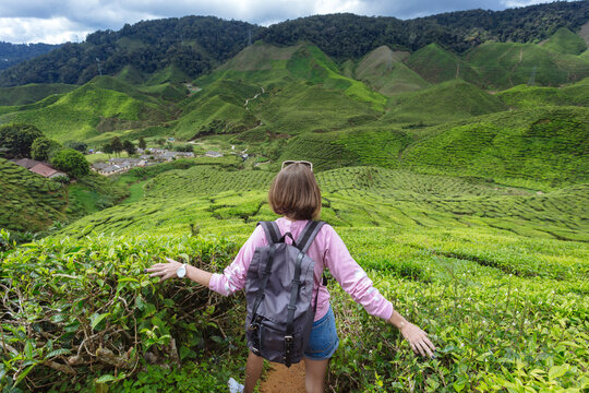 Rear view of female hiker with backpack touching tea crops