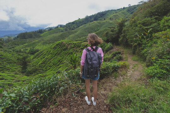 Female hiker with backpack looking at tea crops growing at Cameron Highlands