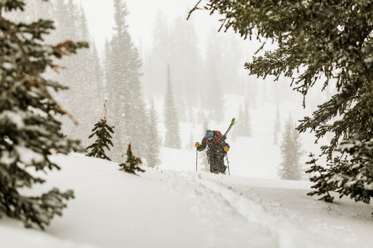 Man with skies walking on snow covered field in forest