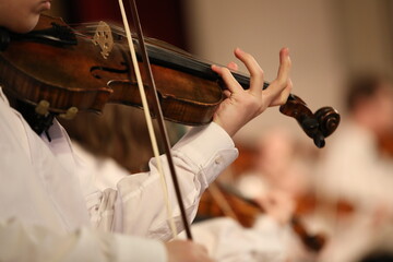 Person playing the violin with a bow wooden stringed musical instrument in hand close-up - obrazy, fototapety, plakaty