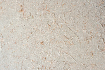 White mulberry paper texture use dry flower and leaf fiber mix for abstract texture background. Mulberry paper with texture background white tone.