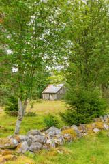 Idyllic old barn in a forest glade