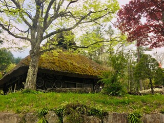 茅葺き屋根のお家 © Pomme777