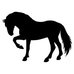 silhouette of a horse vector