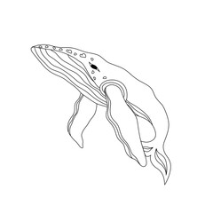 whale in a minimalist style in outline on a transparent background. Isolated. Design element.