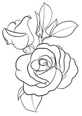 Rose flower outline illustration