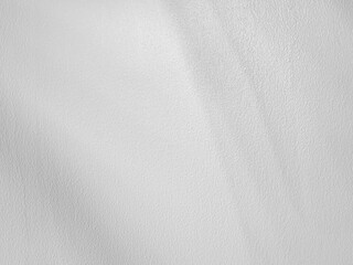 Shadows from palm or coconut leaves On the concrete wall painted white above. Abstract background and copy space. Empty.