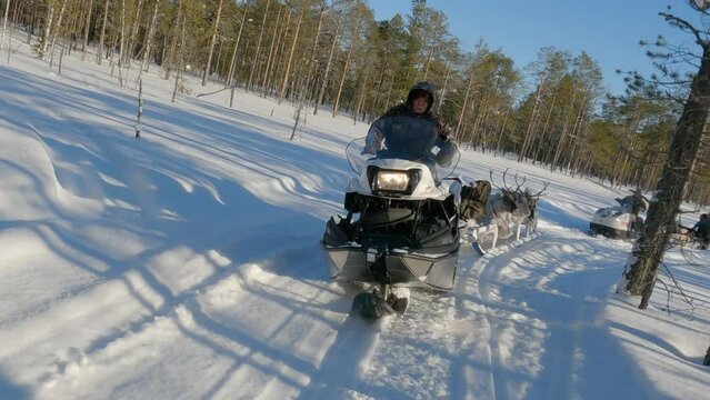 Western Siberia, Khanty people on snowmobiles take deer to the taiga.