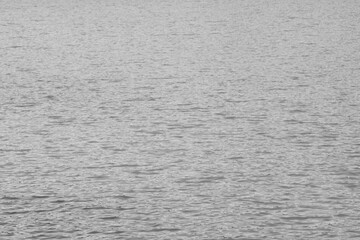 Water wave background, white, black