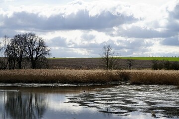 Teichlandschaft Panorama mit Grasinseln und Spiegelung auf Wasser, Schilfgras am Ufer, Bäumen und...