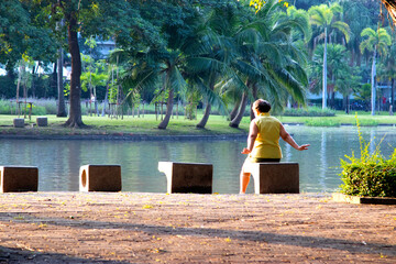 the old woman, senior sitting on a bench in the park