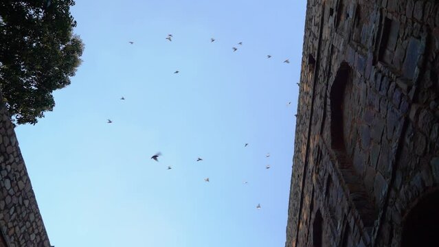 Agrasen ki Baoli or Ugrasen ki Baodi is a historical step well located in New Delhi, India