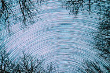 Abstract Star Lines Move In Sky.spin Trails Of Stars Above Tree Crowns Without Foliage. Night Rotate Sky Star Background. Amazing Unusual Stars Effects In Sky. Bright Blue.