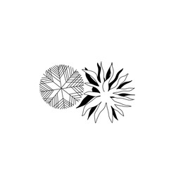 Landscape trees in terms of graphics hand drawn architectural design of the site decoration shrubs sketchy set large on a white background black and white doodle sketch