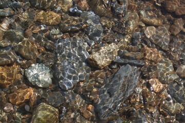 Shallow water. Sea stones under water. View of the stone bottom through the water.