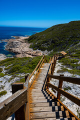 Obraz premium stairs to the unknown