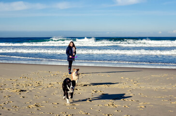 Funny image of Border Collie playing on the beach chasing a ball