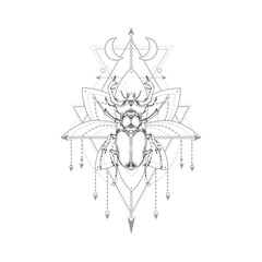 Vector illustration with hand drawn stag beetle and Sacred geometric symbol on white background. 