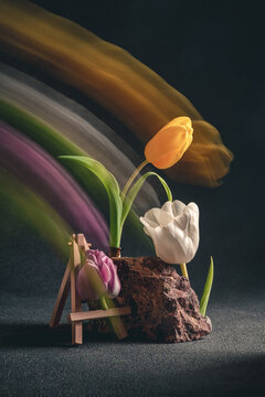 concept spring. freakebana. three multi-colored tulips. motion blur