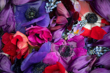 close up background of colorful flowers in pink, purple and red