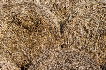 straw bale background