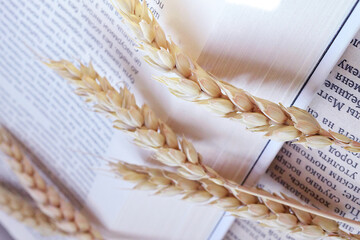 paper with wheat
