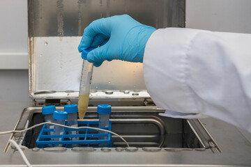 A part of an arm with labcoat and with blue nitril gloves putting a plastic  test tube in a warm water batch in a laboratory.