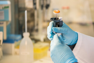 Two hands holding a micropipette and a eppendorf tube in a laboratory with other equipment in the...