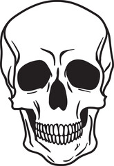 Skull Vector illustration, SVG