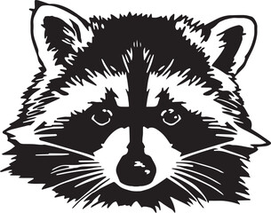 Raccoon head Vector illustration, SVG