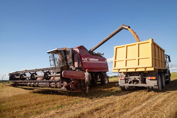 Fototapeta premium Harvesting with combines