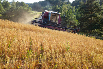 Fototapeta premium Harvesting with combines