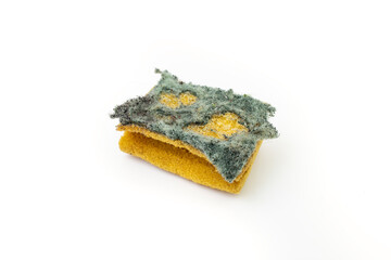 Dishwasher sponge dirty and ripped, isolated on white background. Bacteria and disease  spread concept.