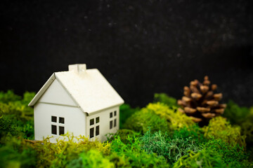 Model white house on green lichen or moss with a pine cone, creative composition