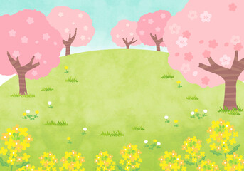 桜と菜の花　春の風景