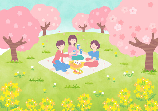 お花見を楽しむ人　桜と菜の花の風景