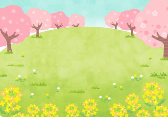 桜と菜の花　春の風景