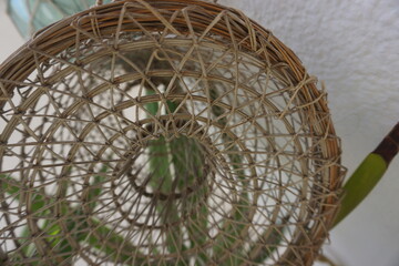 Red de pescador y planta, concepto de florecer