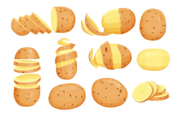 set of Potatoes vector illustration. isolated on white background. Vector eps 10. perfect for wallpaper or design elements	
