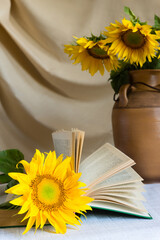 Still life with beautiful sunflowers in a clay ceramic vase on the table against the backdrop of light curtains. An open book next to flowers.