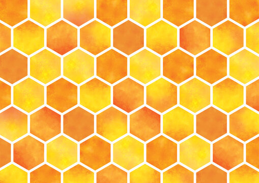 ハニカム蜂の巣水彩画