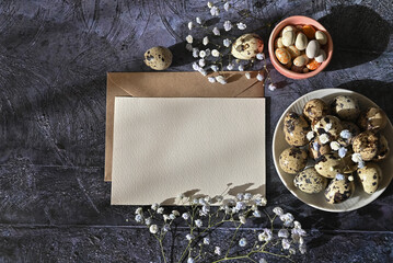 Create an Easter composition of Easter quail eggs and flowers on a white wooden background. A greeting card for the Easter holiday.Top view, copy location, flat layout.