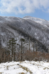 四国徳島県にある三嶺（みうね、さんれい）冬景色